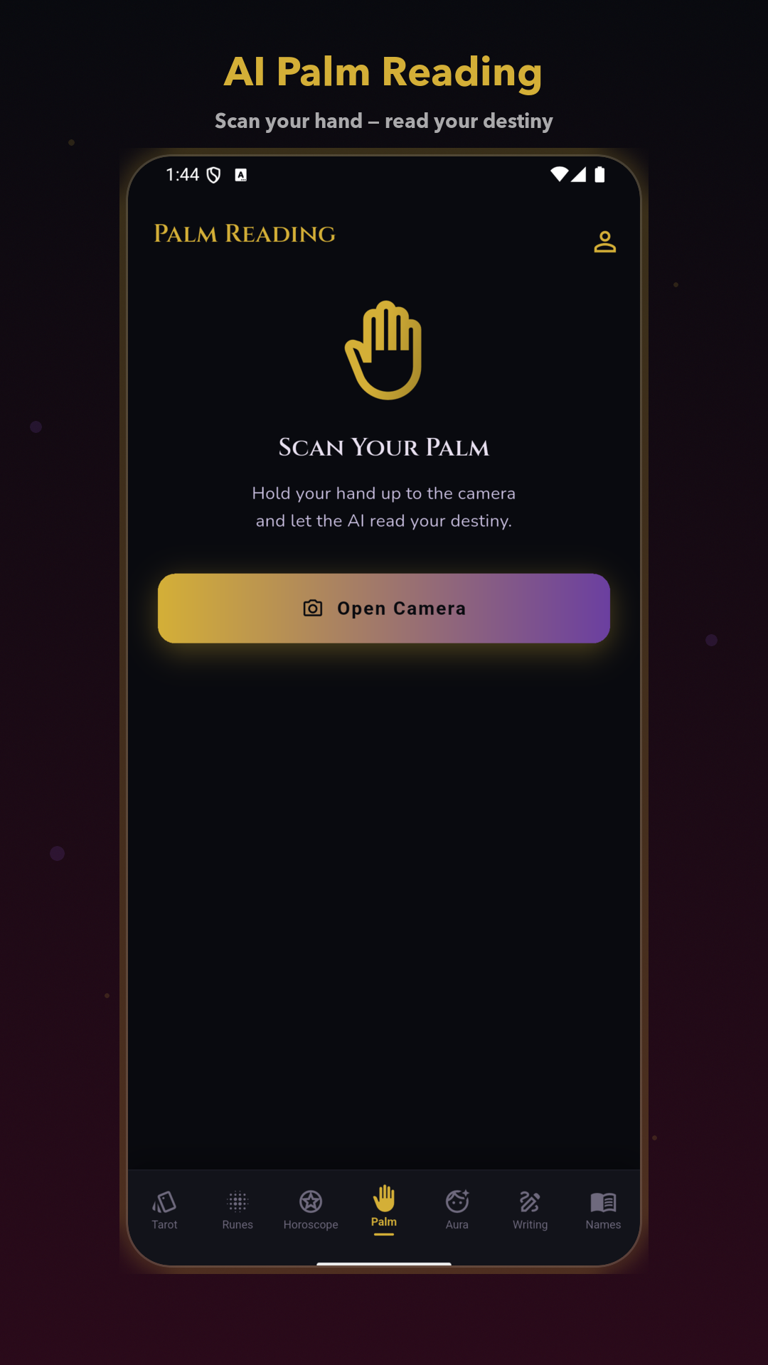 Palm Reading