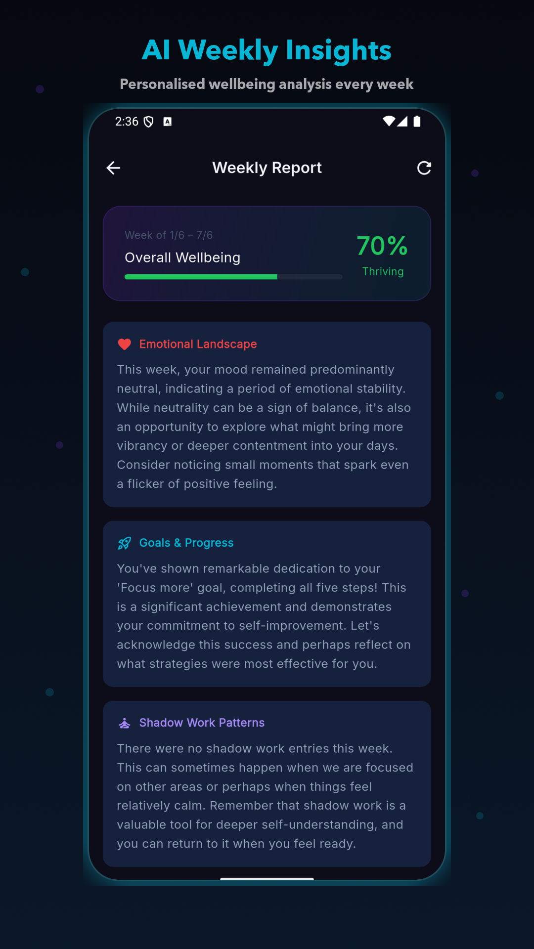 Weekly Report